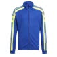Team Royal Blue/Team Solar Yellow