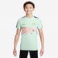 Nike Kinder Trainingsshirt CR7 Academy Dri-FIT HF4372-394 137-147 Barely Green/Blue Void/Met | 137-147