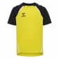 Blazing Yellow/Black