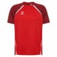 True Red/Maroon