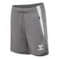 Steel Gray