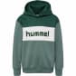 Hummel Jungen Kapuzenpullover hmlMORTEN Hoodie 218641-6041 176 Pineneedle | 176