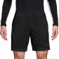 Nike Herren Short Academy Dri-FIT IF1448 