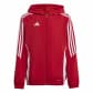 Team Power Red/White