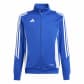 Royal Blue/White