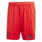 adidas Herren Short FC Bayern Münschen 24/25 
