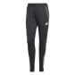 adidas Damen Trainingshose Tiro 25 Competition TR PNTW 