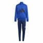 Team Royal Blue/Black