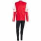 Team Power Red2/White