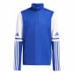 Team Royal Blue/White