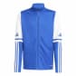 Team Royal Blue/White
