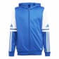 Team Royal Blue/White