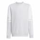 adidas Kinder Pullover Squadra 25 SW CREW Y 