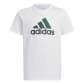 White/Collegiate Green