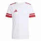 White/Team Power Red2