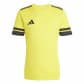 Team Yellow/Black
