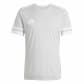 Team Light Grey/White