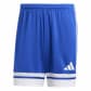 Team Royal Blue/White