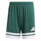 Team Dark Green/White