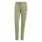 Tent Green
