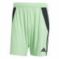 Glory Mint