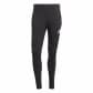 adidas Herren Trainingshose Tiro 25 Competition TR PNT 