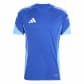 Team Royal Blue/Blue Burst