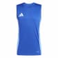 Team Royal Blue/Blue
