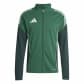 Team Dark Green/Shadow Green