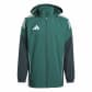 Team Dark Green/Shadow Green