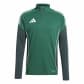 Team Dark Green/Shadow Green
