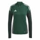 Team Dark Green/Green