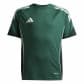 Team Dark Green/Green