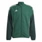 Team Dark Green/Green