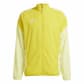 Team Yellow/Pulse Yellow