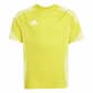 Team Yellow/Pulse Yellow