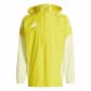 Team Yellow/Pulse Yellow