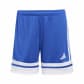 Team Royal Blue/White