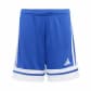 Team Royal Blue/White