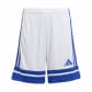 White/Team Royal Blue