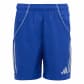 Team Royal Blue