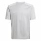 Team Light Grey/White