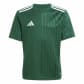 Team Dark Green/White