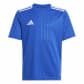 Team Royal Blue/White