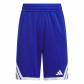 Team Royal Blue/White