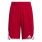 Team Power Red/White