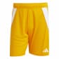 adidas Herren Short Tiro 24 Short 