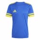 Team Royal Blue/Team Yellow