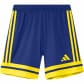 Team Royal Blue/Team Yellow