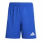 Team Royal Blue